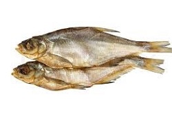 fish.jpg