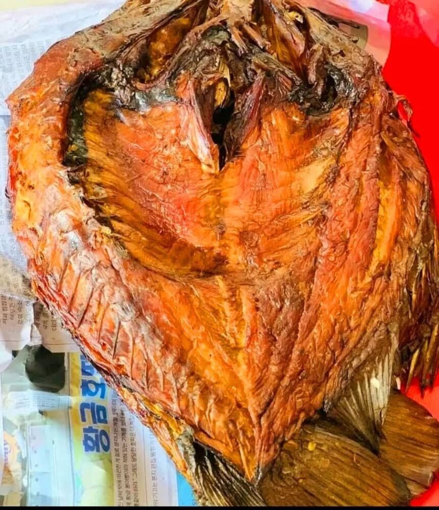FISH.jpg